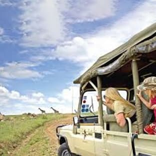 Family watching giraffes from an open safari vehicle